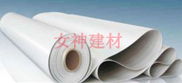 聚氯乙烯(PVC)耐根穿刺防水卷材